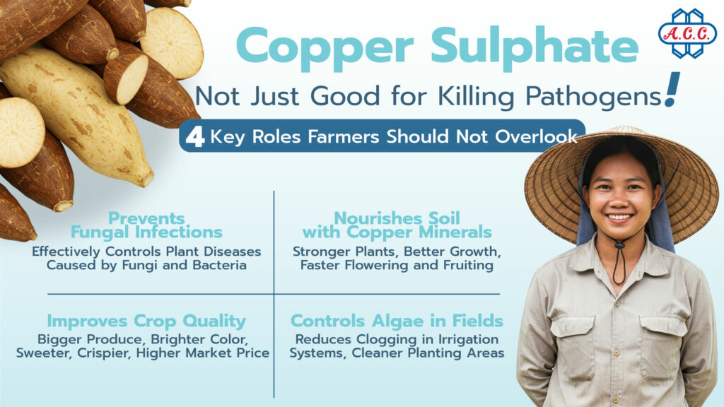 Copper Sulfate More Than Just a Germ Killer