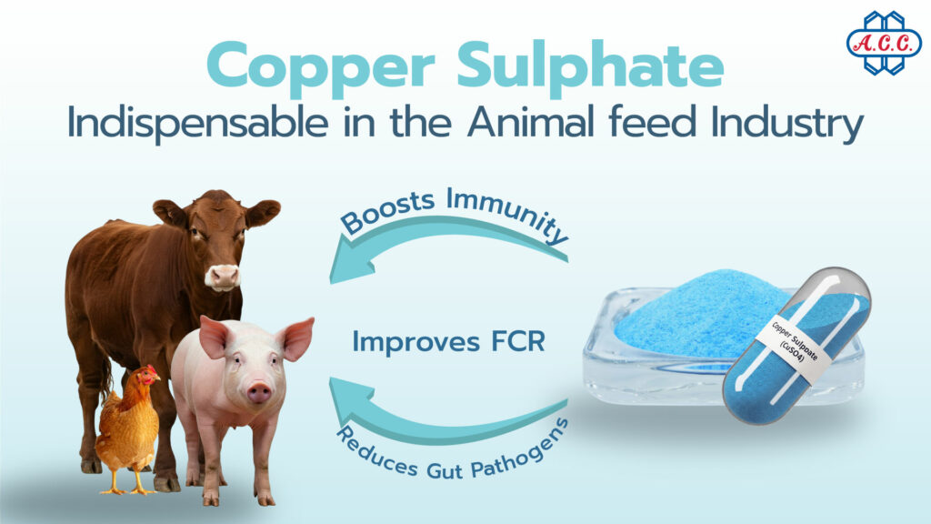 Critical Nutrients for the Animal Feed Industry