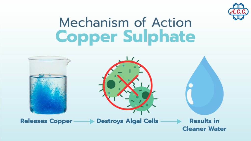 How Copper Sulfate Works