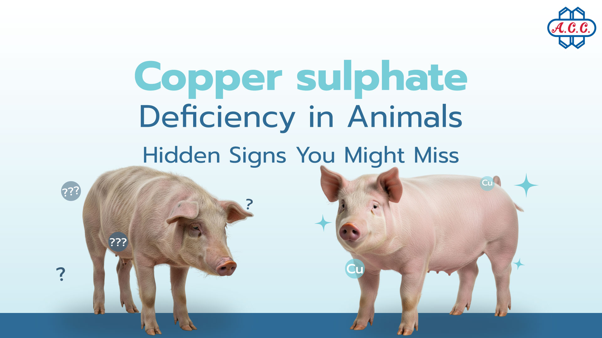 Copper sulphate solves copper deficiency in animals