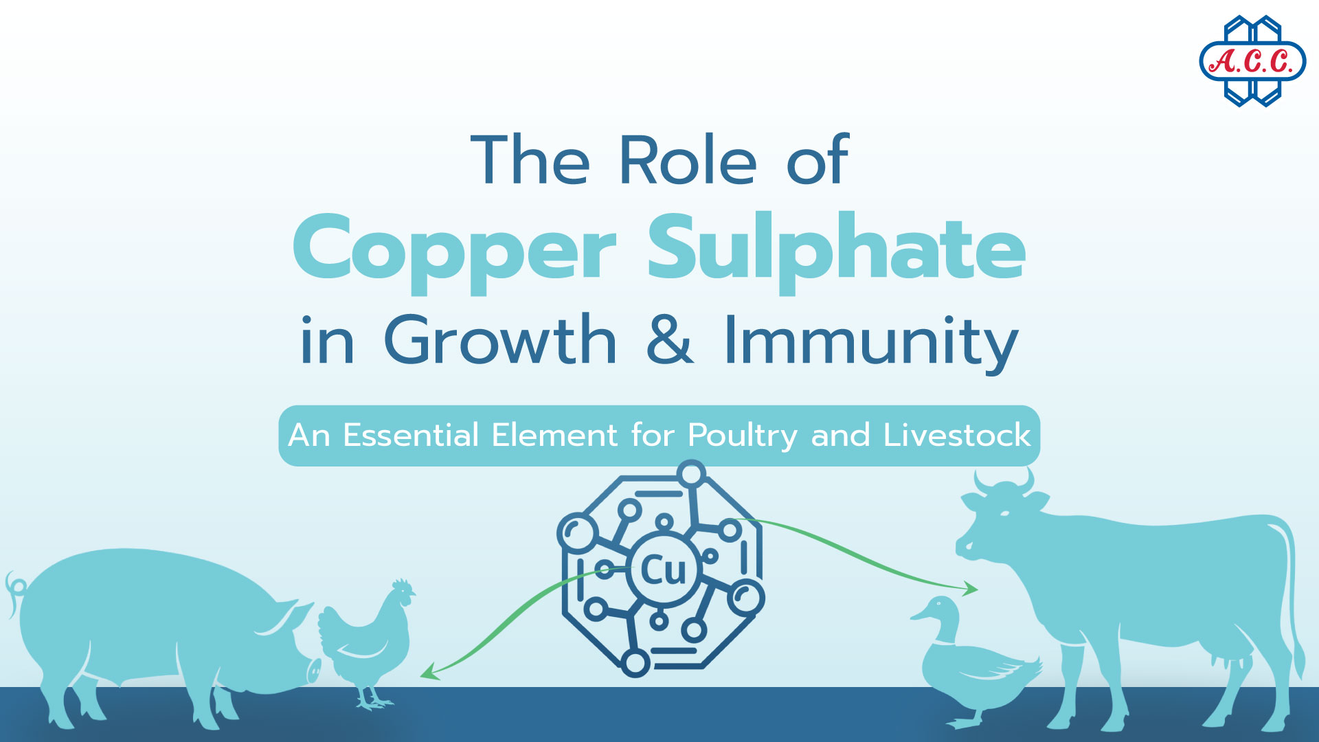 The Role of ‘Copper Sulphate’ in Growth and Disease Prevention in Poultry and Livestock