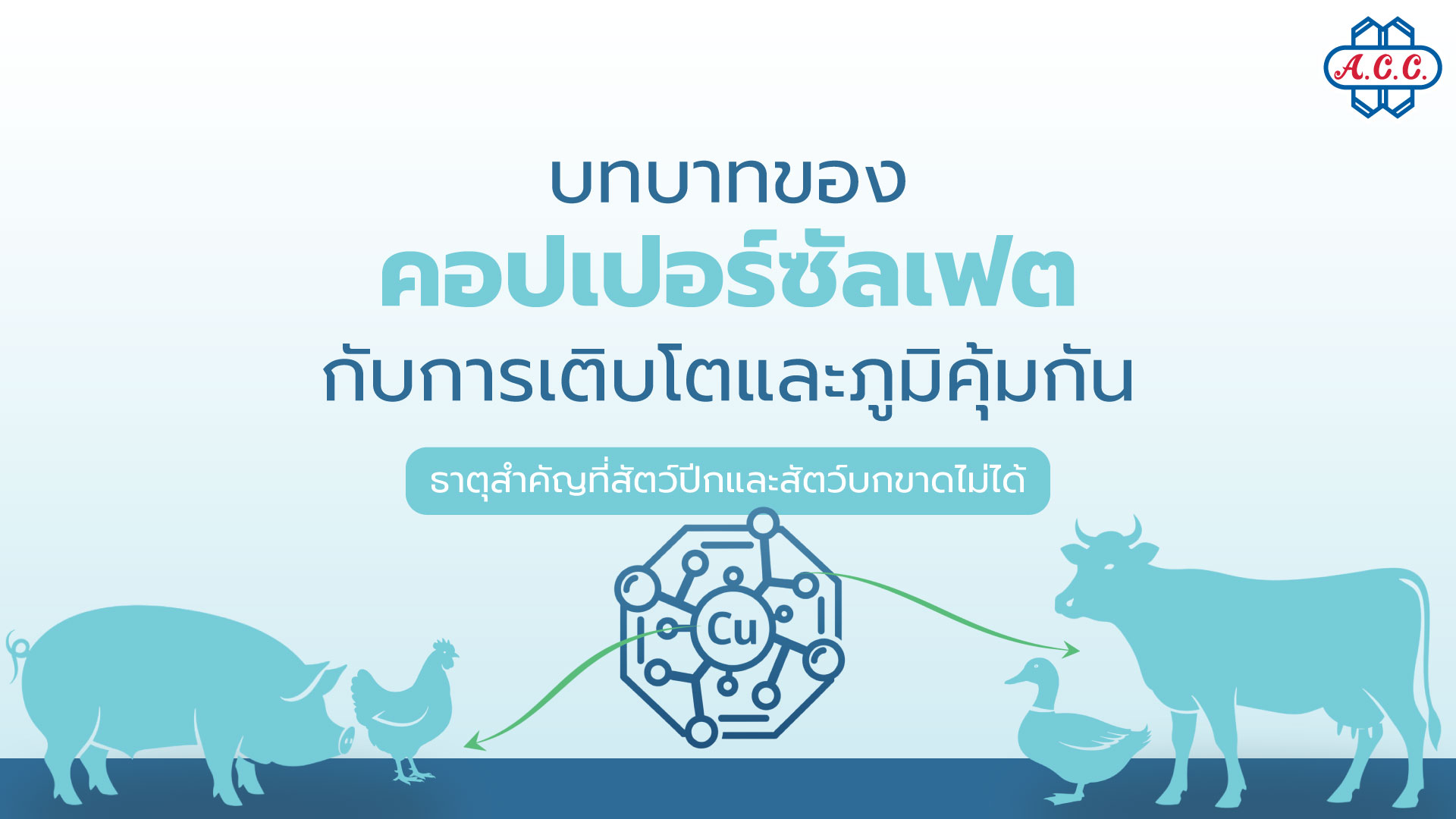The Role of ‘Copper Sulphate’ in Growth and Disease Prevention in Poultry and Livestock