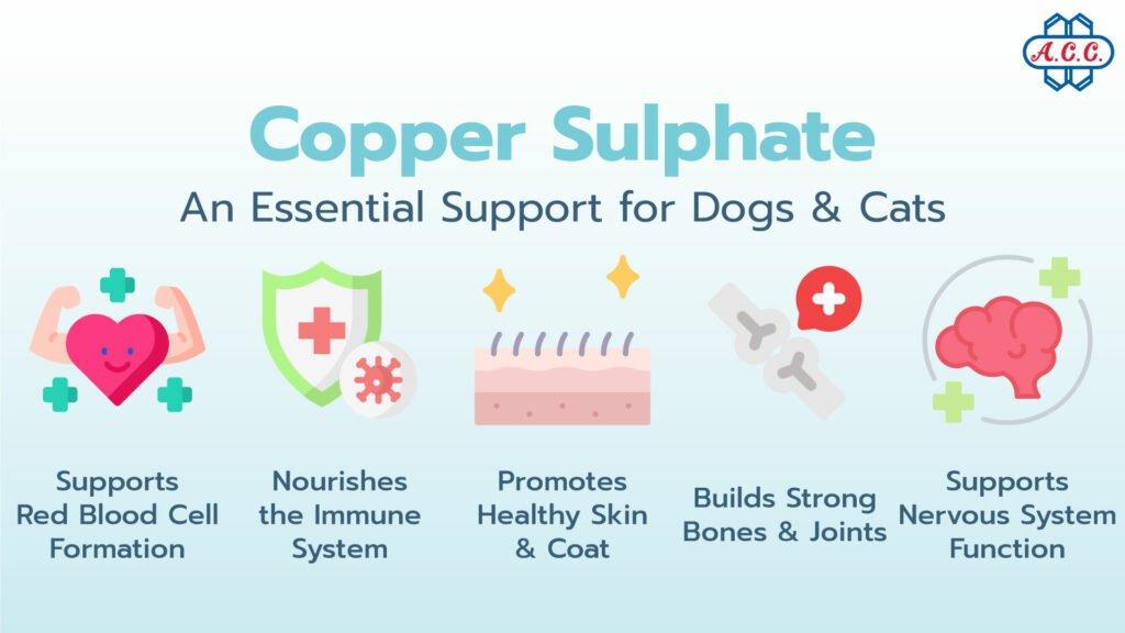 Copper Sulphate Benefits