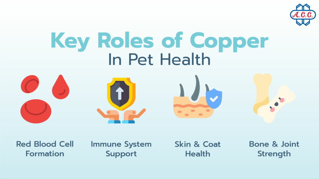 Key Roles of Copper in Pet Health