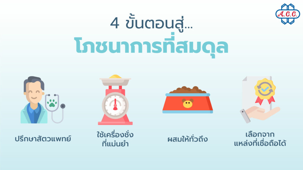 4 steps to balanced nutrition