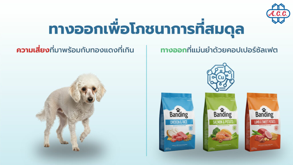 A Choice for Balanced Nutrition