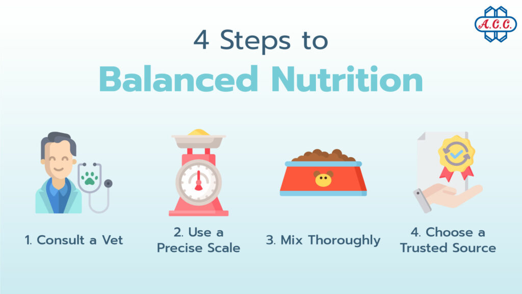 4 steps to balanced nutrition
