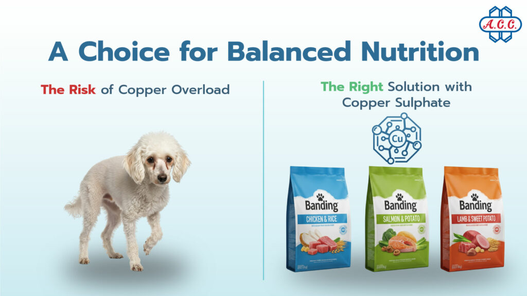 A Choice for Balanced Nutrition