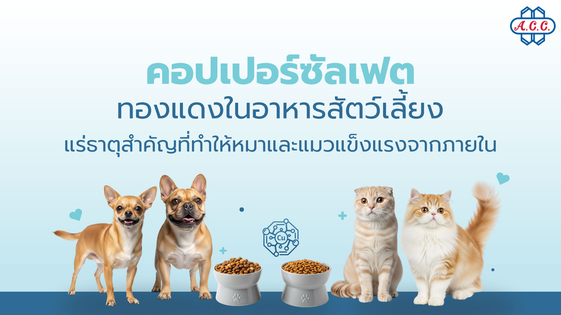 Copper in Pet Food The Essential Mineral for Your Pet’s Inner Strength