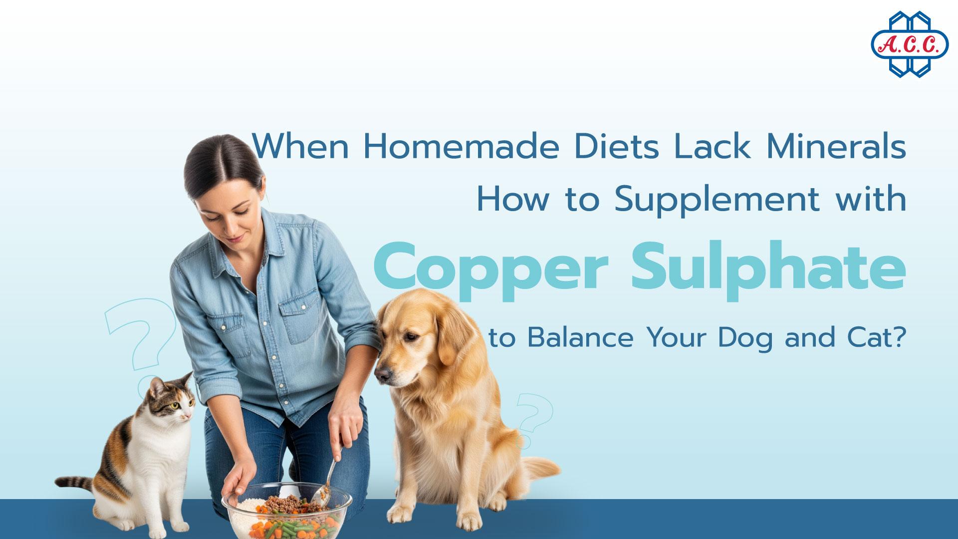 Homemade Food Balance