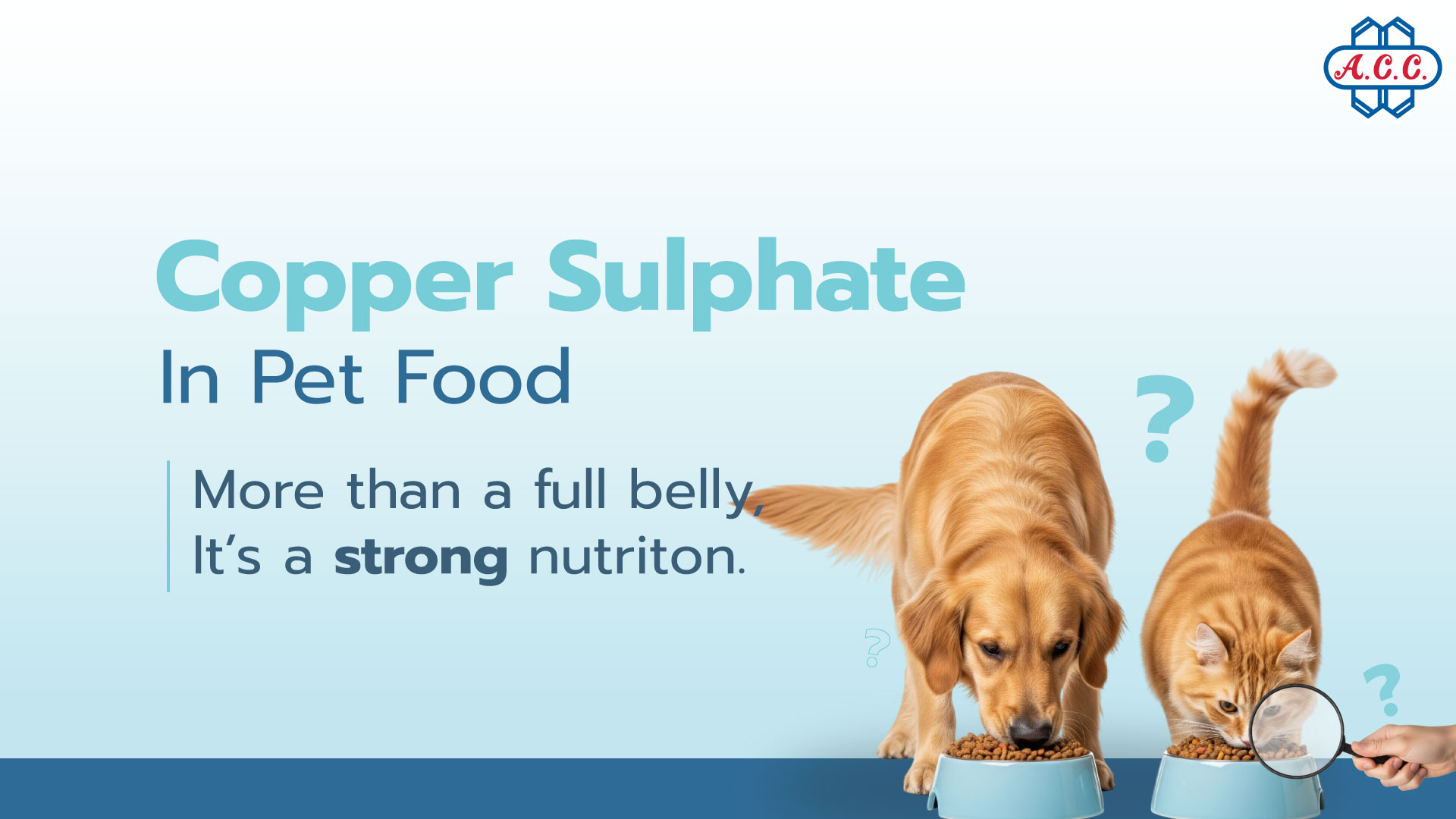 Nutrition Beyond Taste