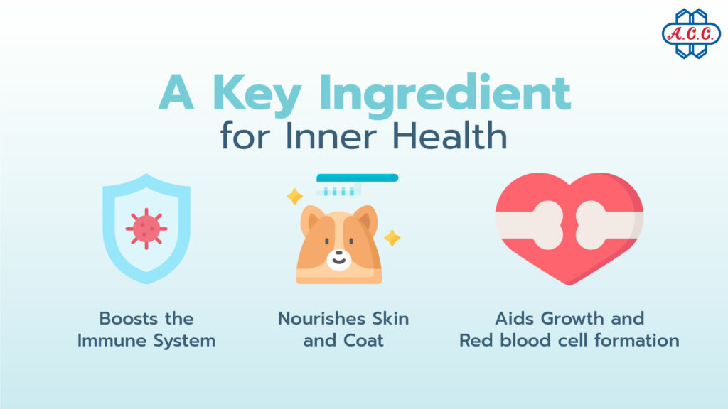 A Key Ingredient for Inner Health