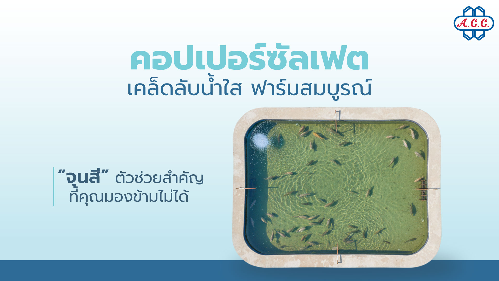 Copper Sulphate Clear Water Secret Healthy Farms