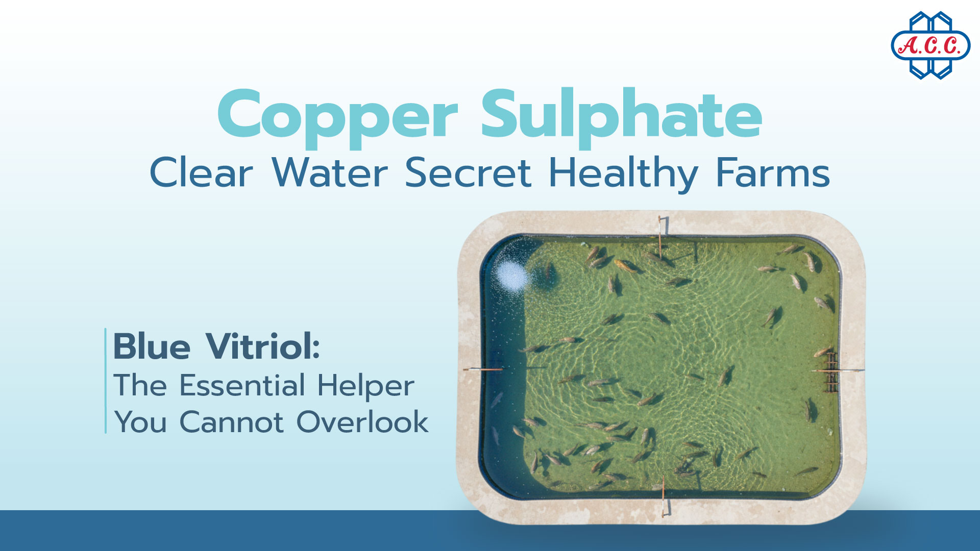 Copper Sulphate Clear Water Secret Healthy Farms