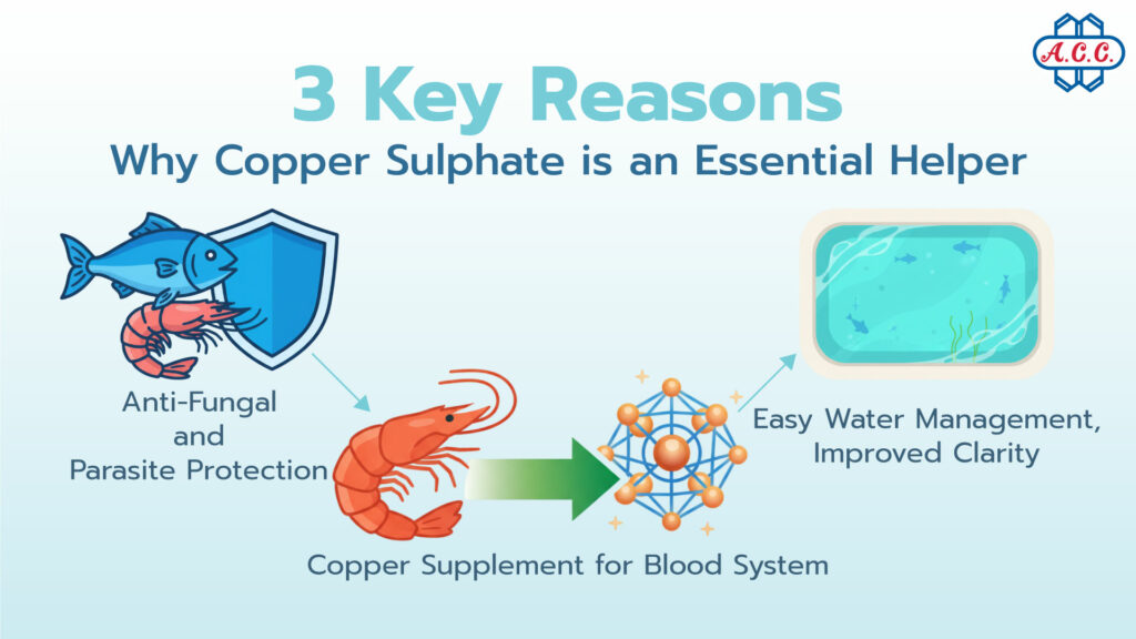 3 Key Reasons Why Copper Sulphate is an Essential Helper