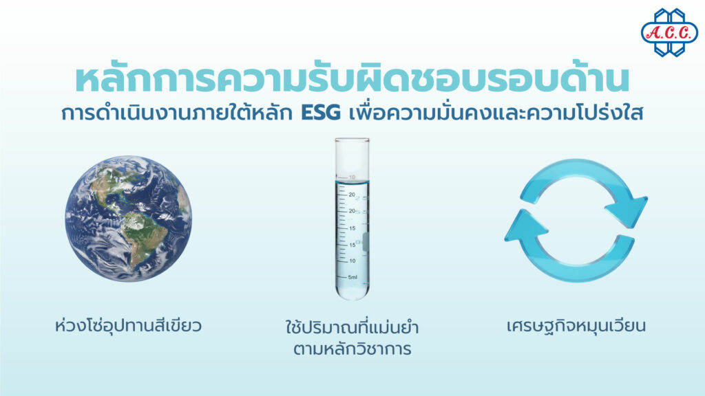 Principles of comprehensive responsibility